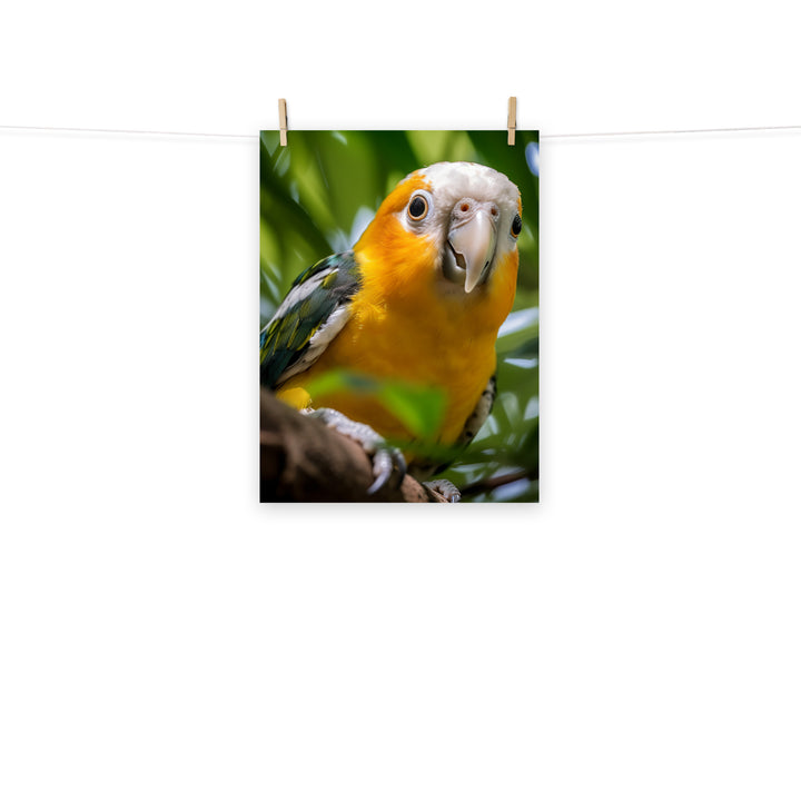 Caique Photo paper poster - PosterfyAI.com