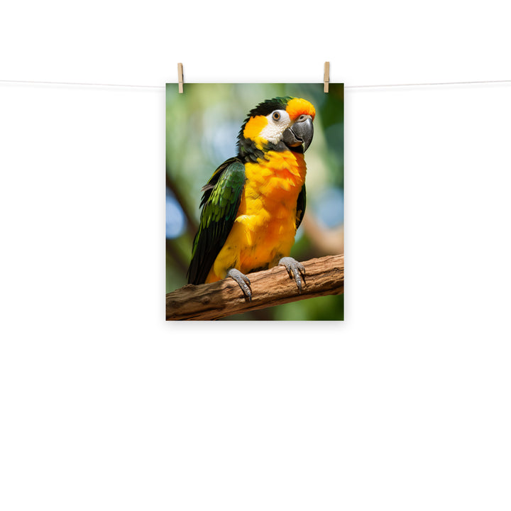 Caique Photo paper poster - PosterfyAI.com