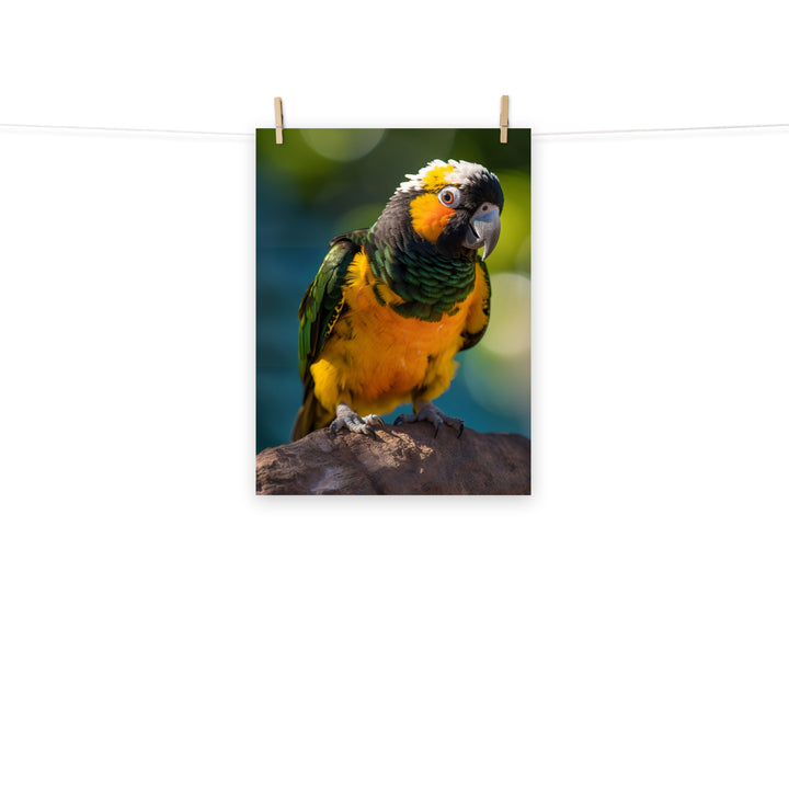 Caique Photo paper poster - PosterfyAI.com