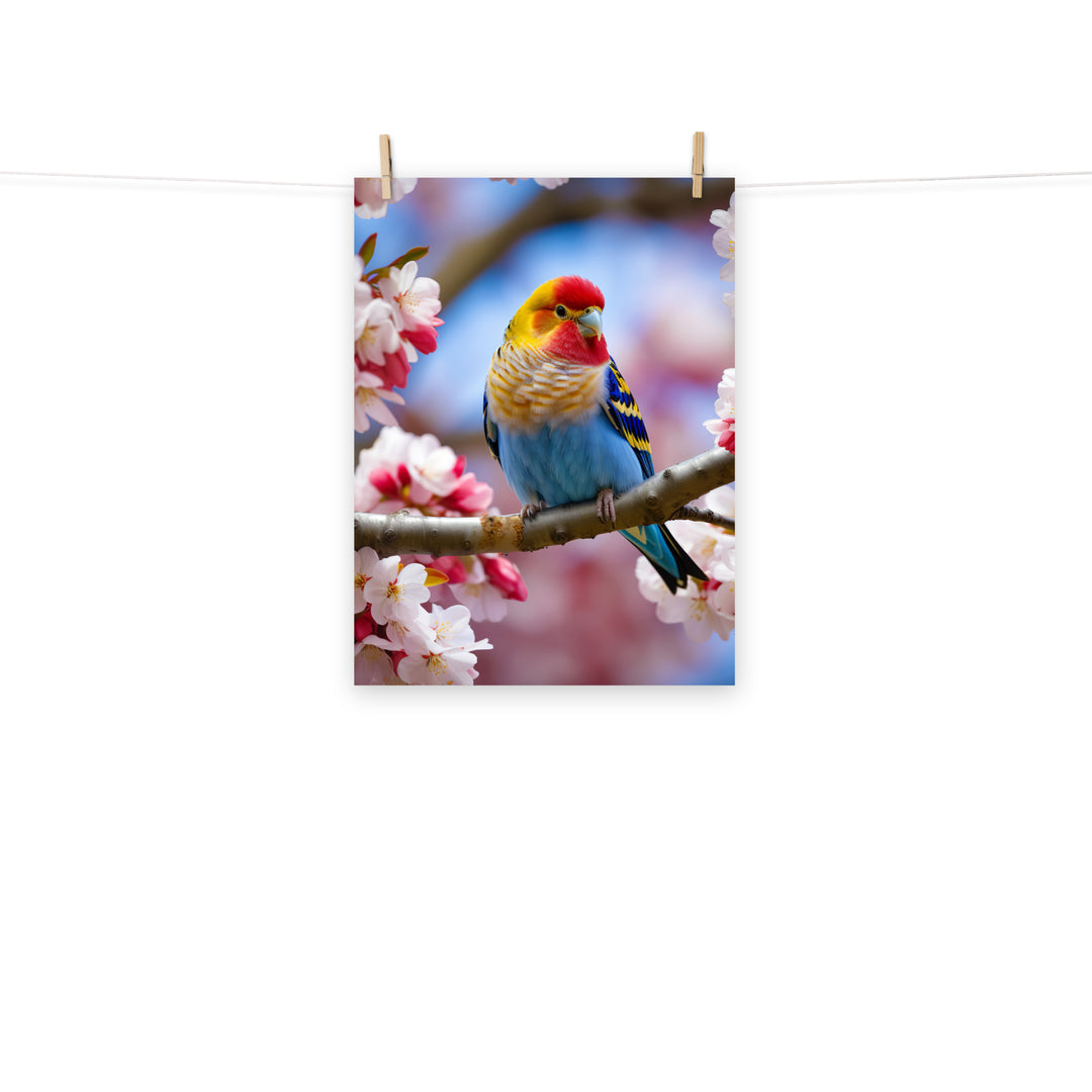 Rosella Photo paper poster - PosterfyAI.com