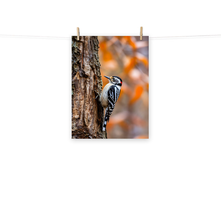 Woodpecker Photo paper poster - PosterfyAI.com