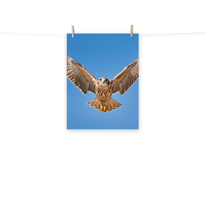 Falcon Photo paper poster - PosterfyAI.com