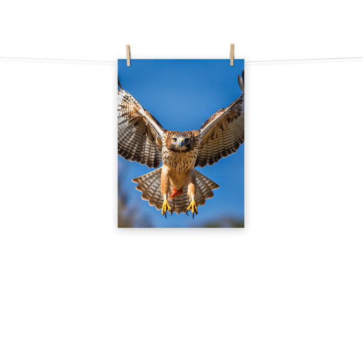 Hawk Photo paper poster - PosterfyAI.com
