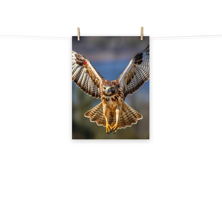 Hawk Photo paper poster - PosterfyAI.com