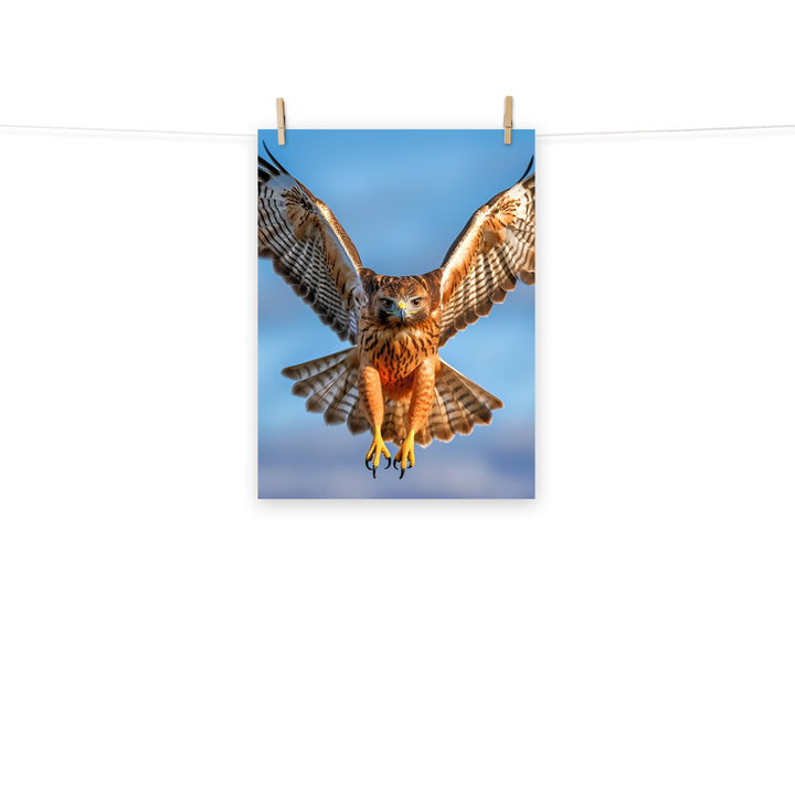 Hawk Photo paper poster - PosterfyAI.com
