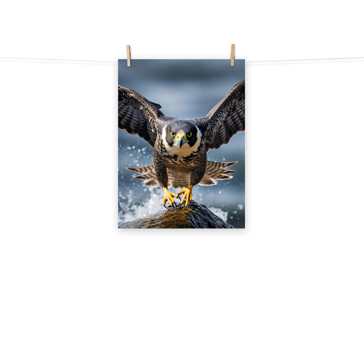 Falcon Photo paper poster - PosterfyAI.com