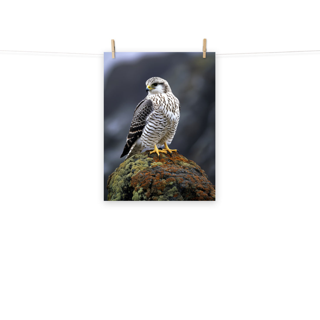 Gyrfalcon Photo paper poster - PosterfyAI.com