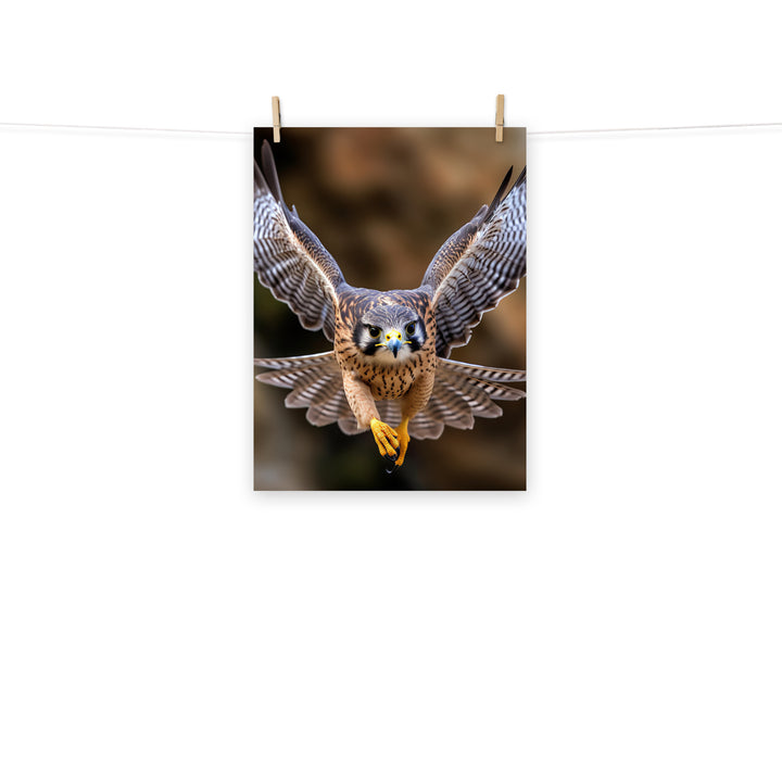 Falcon Photo paper poster - PosterfyAI.com