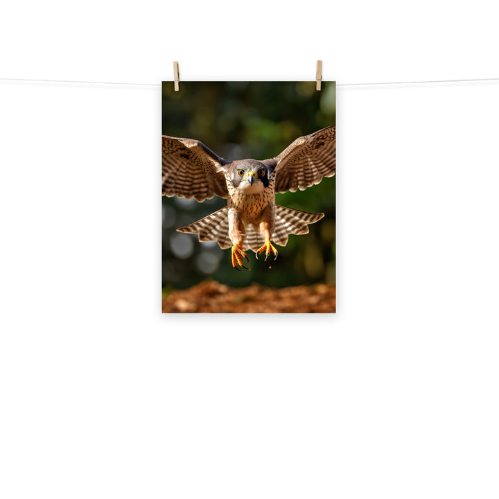 Falcon Photo paper poster - PosterfyAI.com