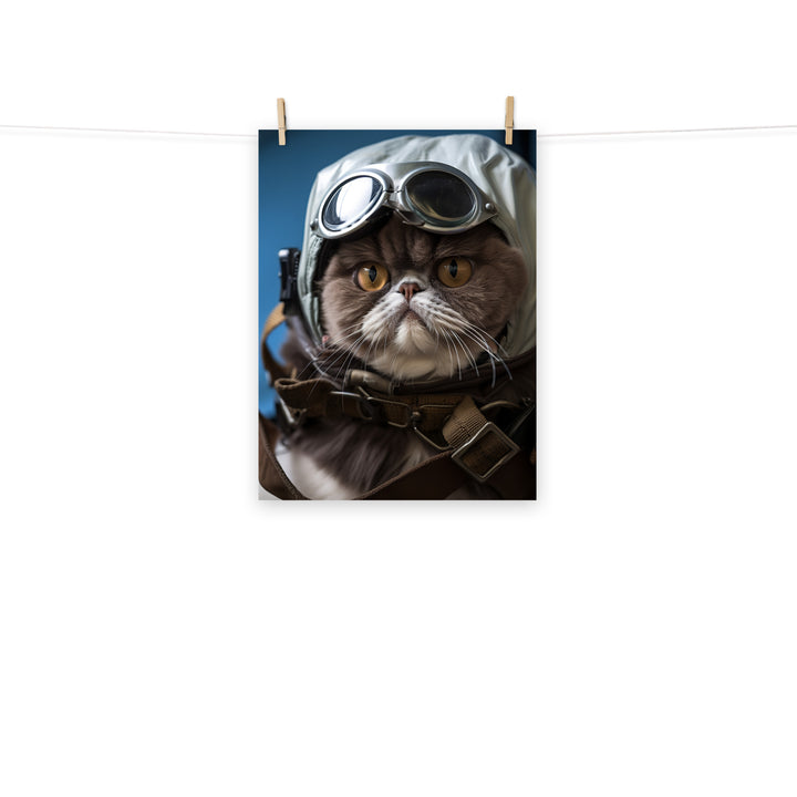 Exotic Shorthair Pilot Photo paper poster - PosterfyAI.com