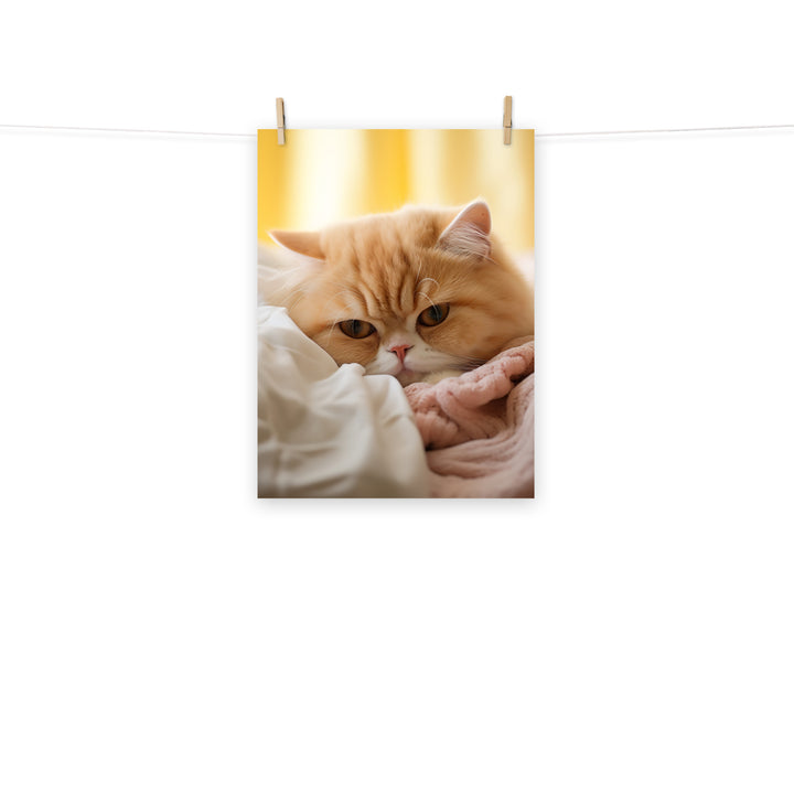 Exotic Shorthair Photo paper poster - PosterfyAI.com