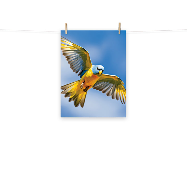 Parakeet Photo paper poster - PosterfyAI.com