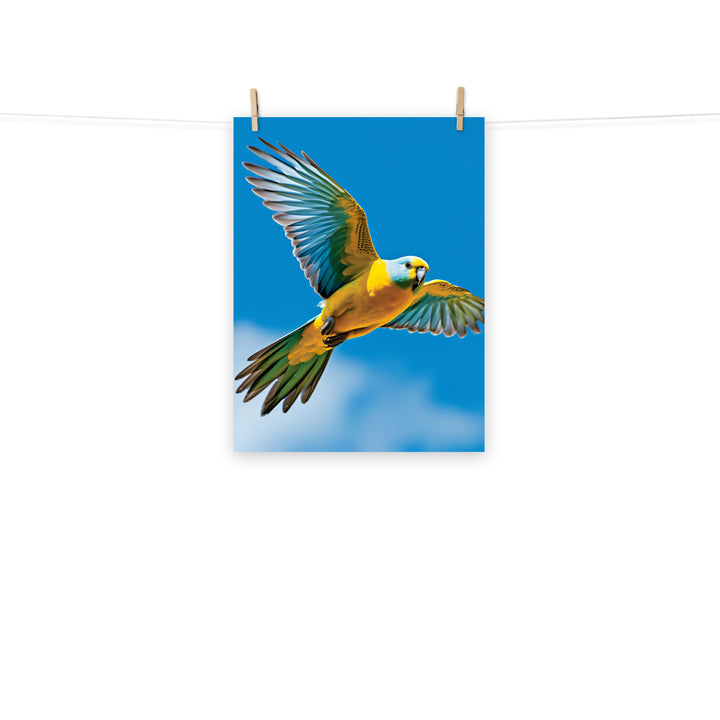 Parakeet Photo paper poster - PosterfyAI.com