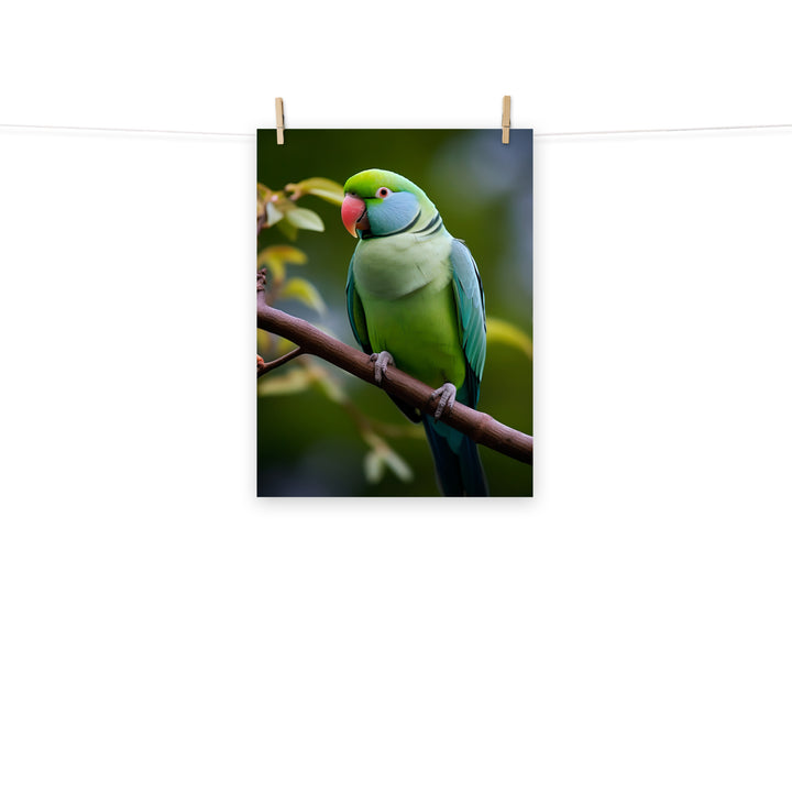 Parakeet Photo paper poster - PosterfyAI.com