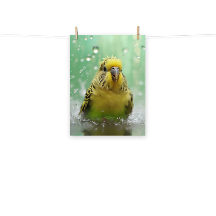 Budgerigar Photo paper poster - PosterfyAI.com
