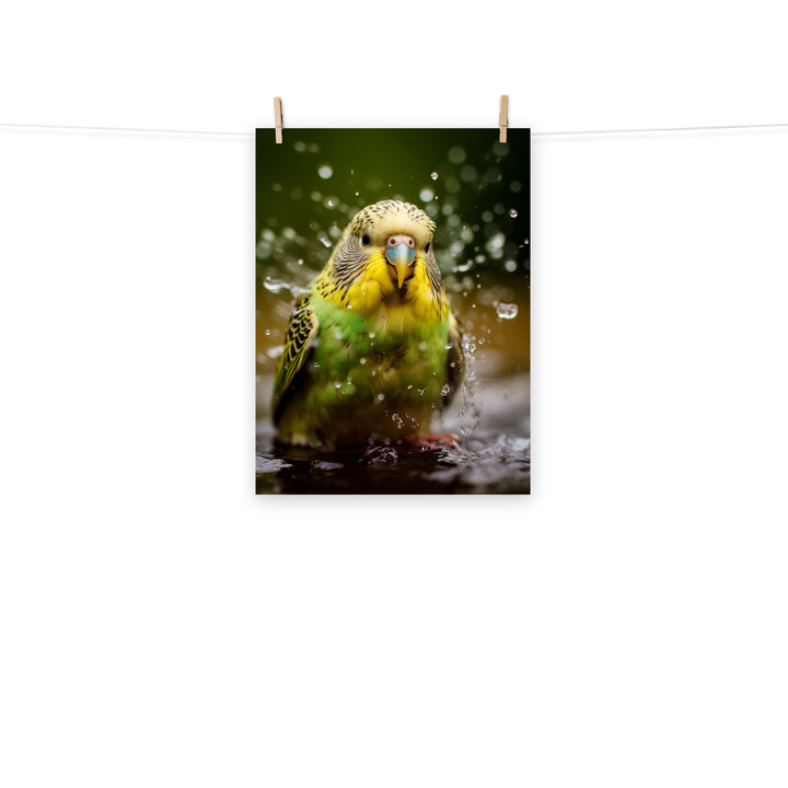 Budgerigar Photo paper poster - PosterfyAI.com