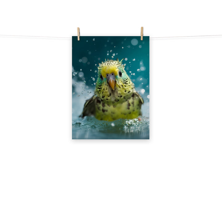 Budgerigar Photo paper poster - PosterfyAI.com