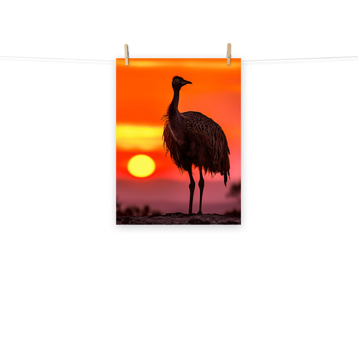 Emu Photo paper poster - PosterfyAI.com