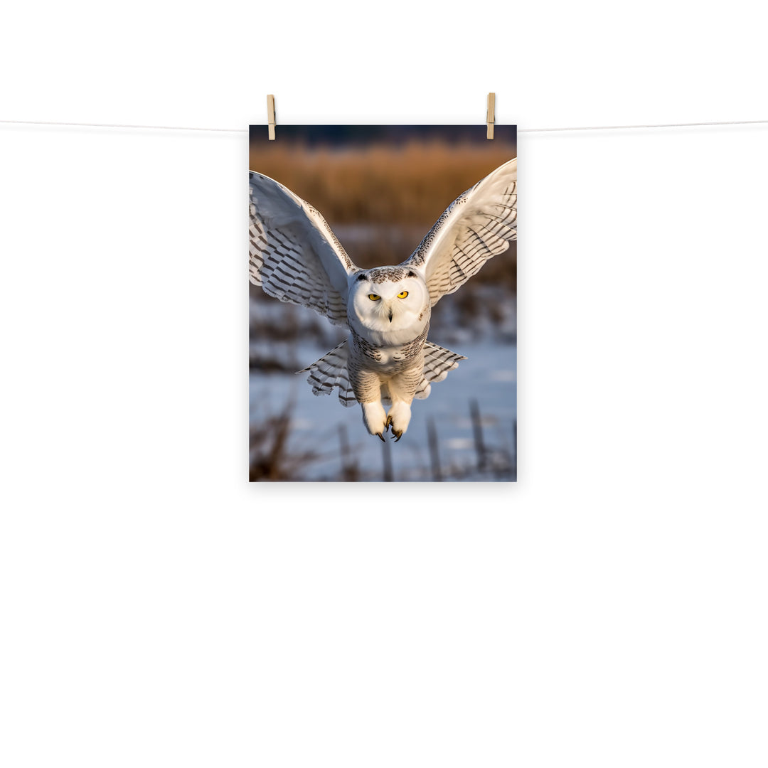 Owl Photo paper poster - PosterfyAI.com