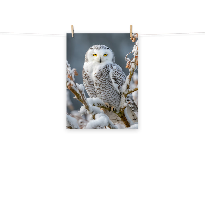 Owl Photo paper poster - PosterfyAI.com