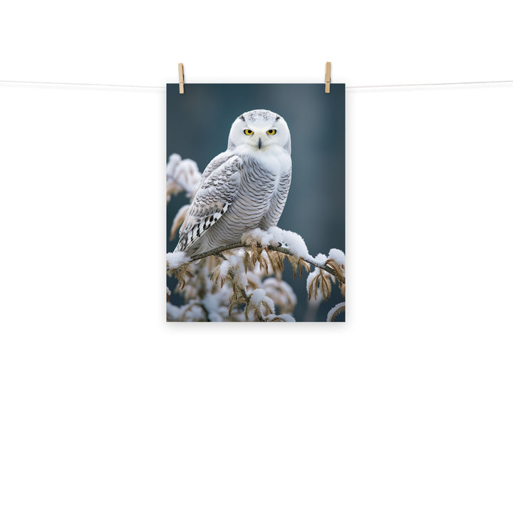 Owl Photo paper poster - PosterfyAI.com