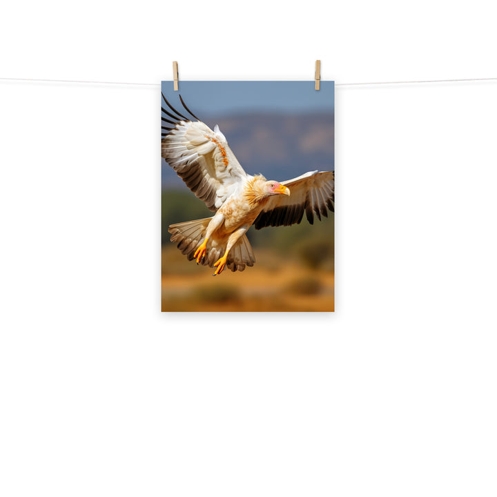 Vulture Photo paper poster - PosterfyAI.com