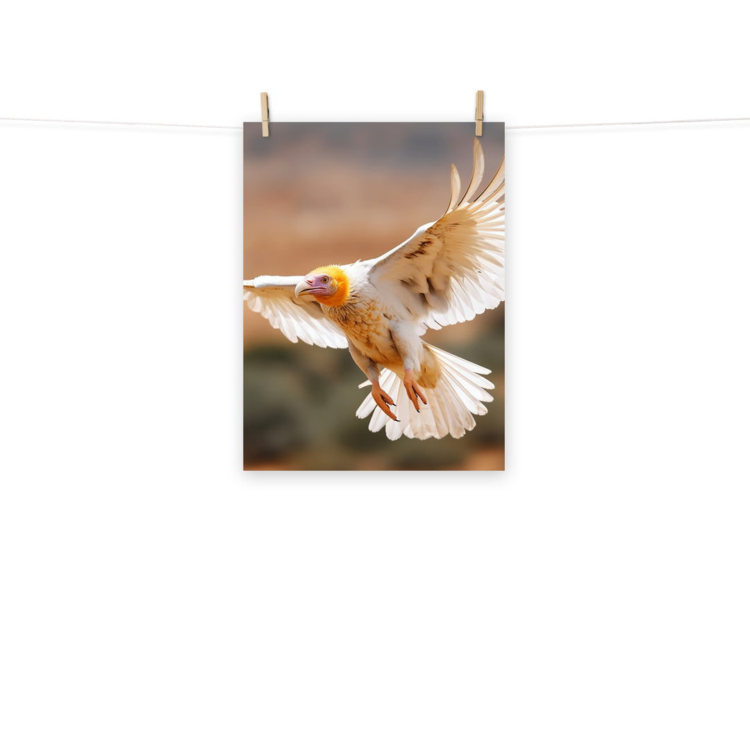 Vulture Photo paper poster - PosterfyAI.com