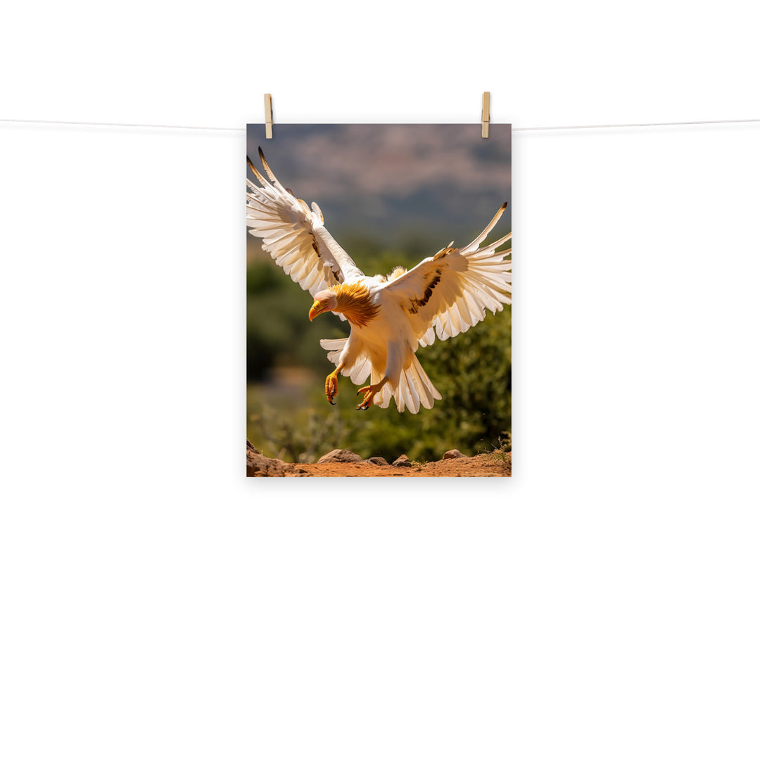 Vulture Photo paper poster - PosterfyAI.com