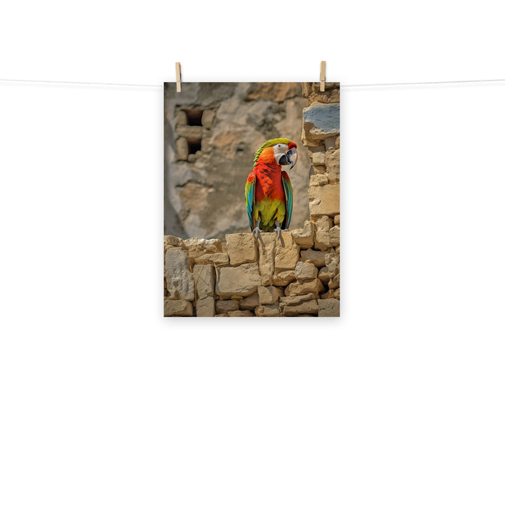 Macaw Photo paper poster - PosterfyAI.com