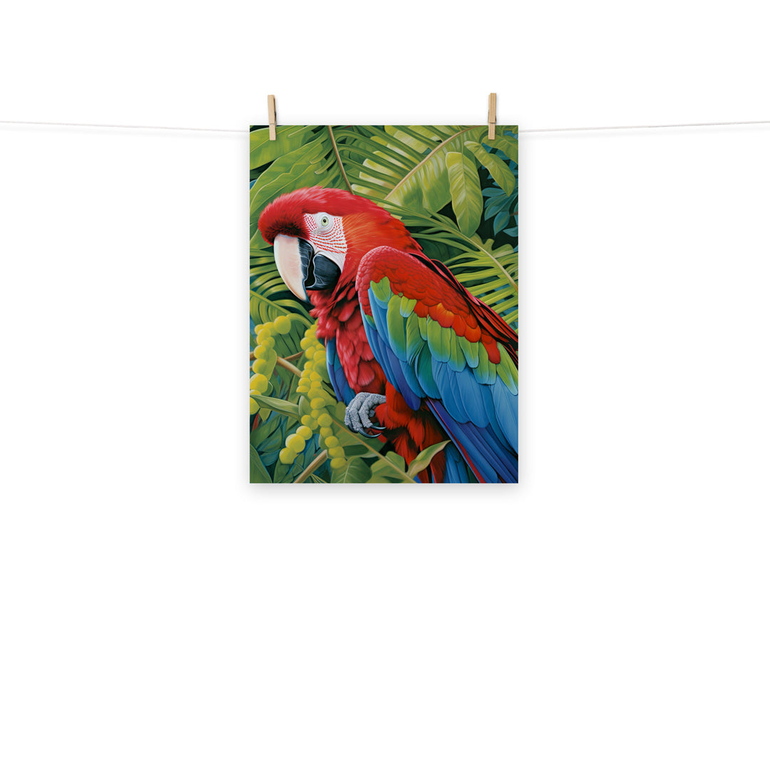 Macaw Photo paper poster - PosterfyAI.com