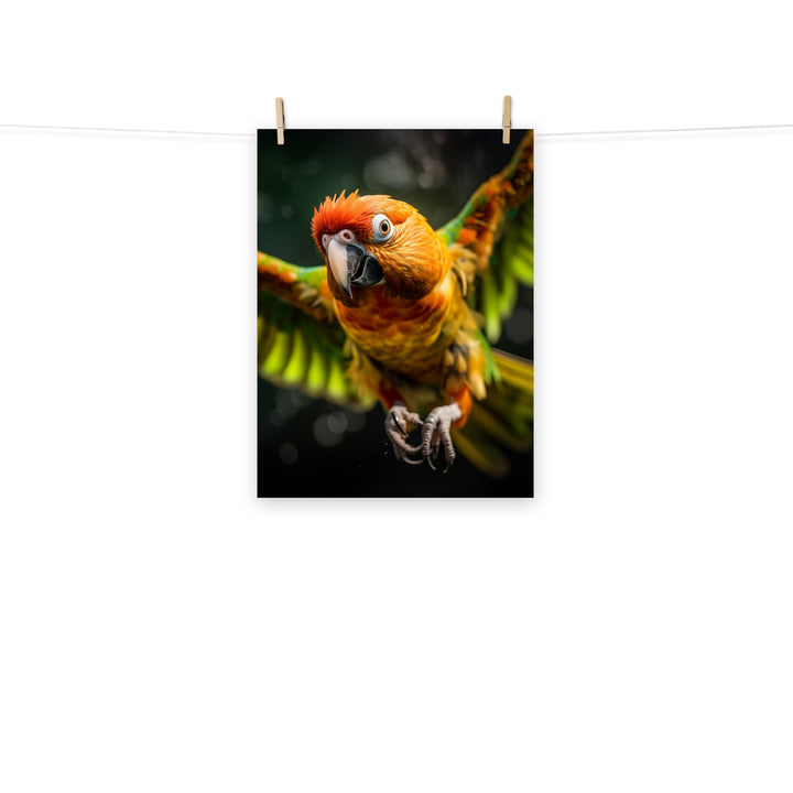 Conures Photo paper poster - PosterfyAI.com