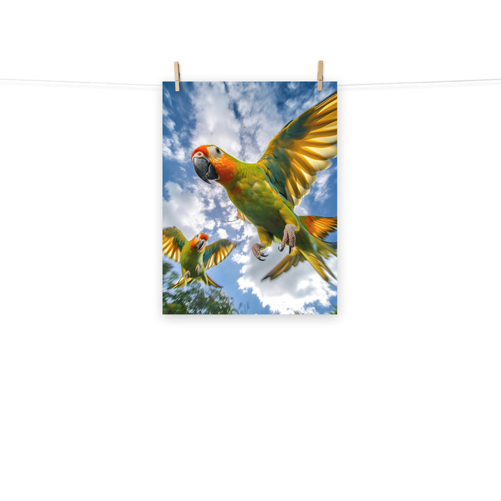 Conures Photo paper poster - PosterfyAI.com