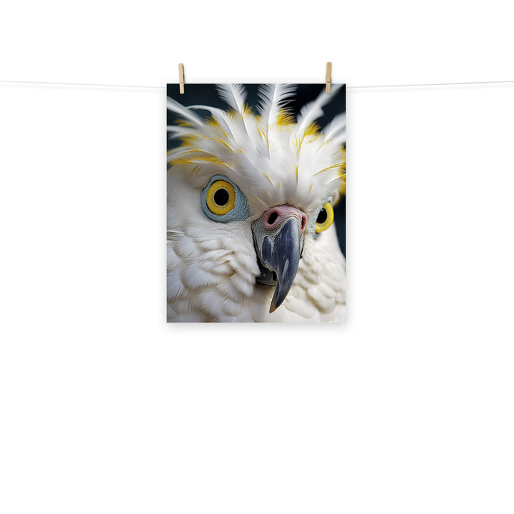 Cockatoo Photo paper poster - PosterfyAI.com