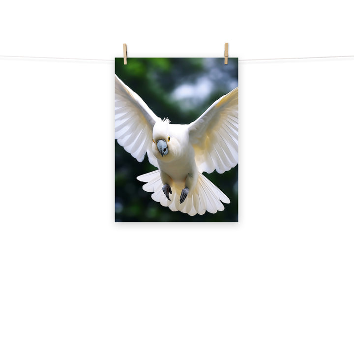 Cockatoo Photo paper poster - PosterfyAI.com