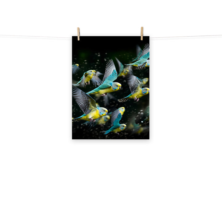 Budgerigar Photo paper poster - PosterfyAI.com