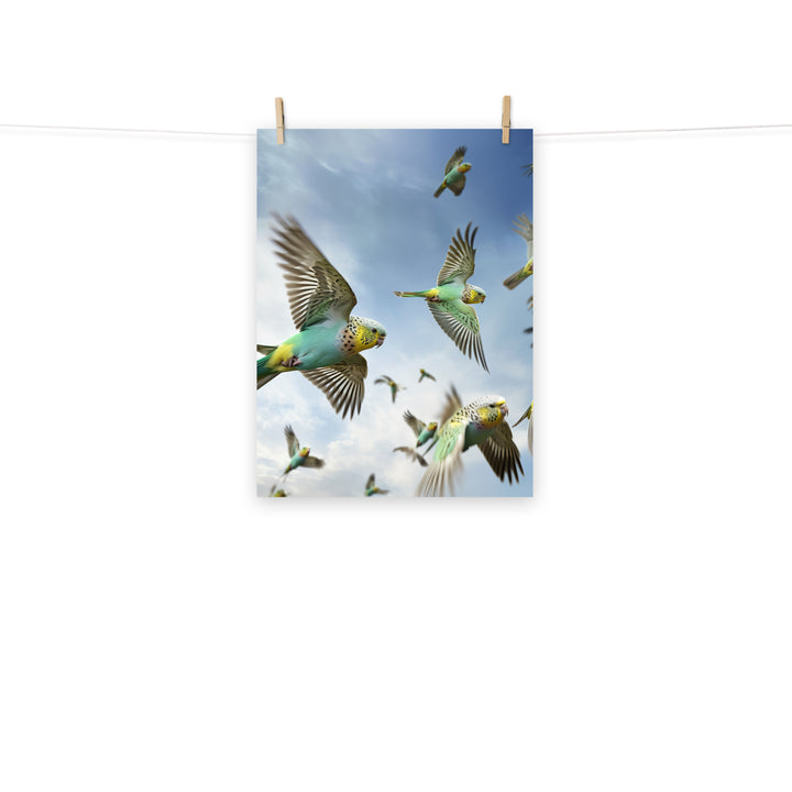 Budgerigar Photo paper poster - PosterfyAI.com