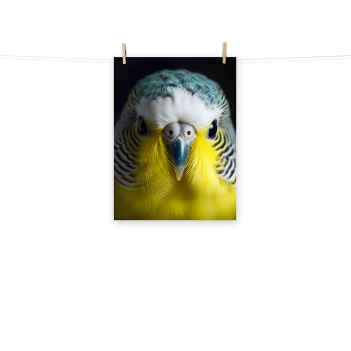 Budgerigar Photo paper poster - PosterfyAI.com