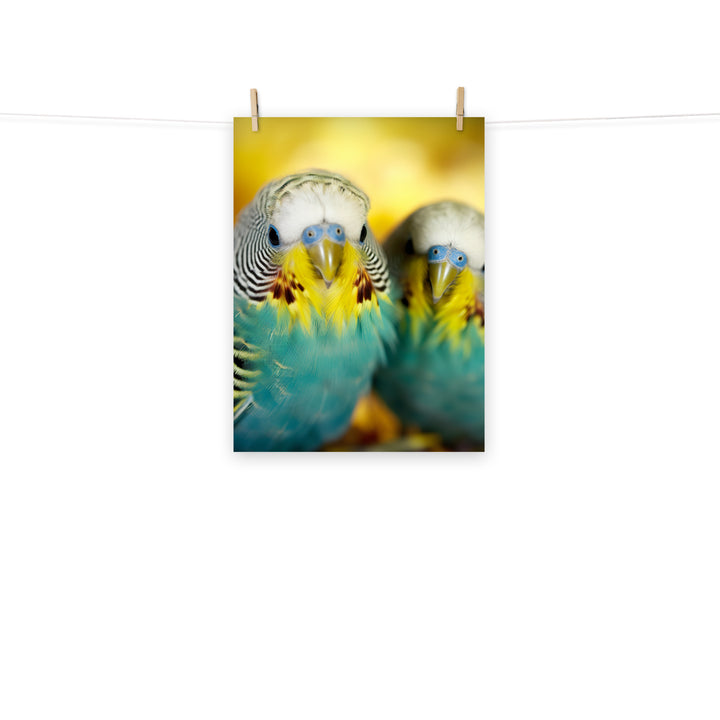 Budgerigar Photo paper poster - PosterfyAI.com