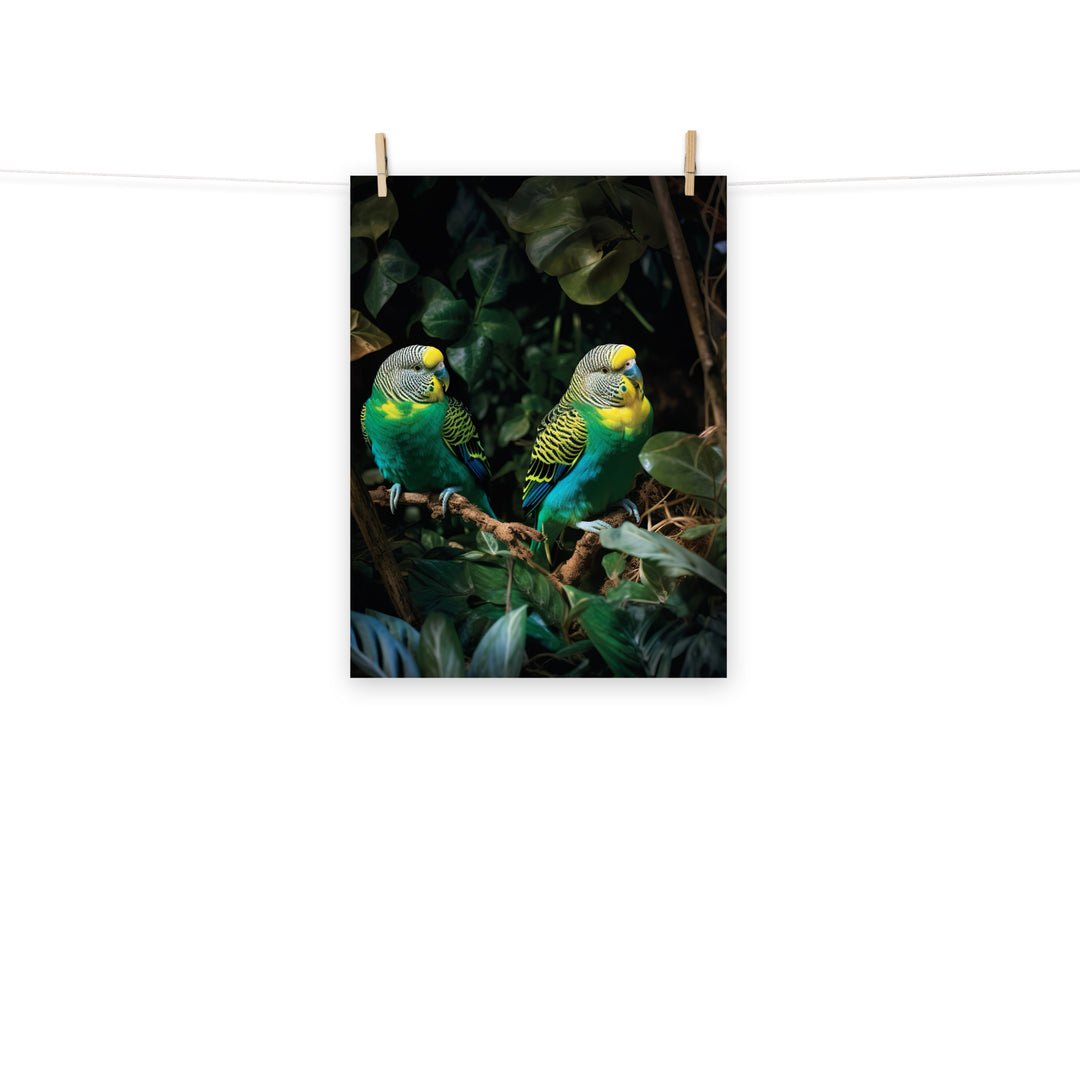 Budgerigar Photo paper poster - PosterfyAI.com