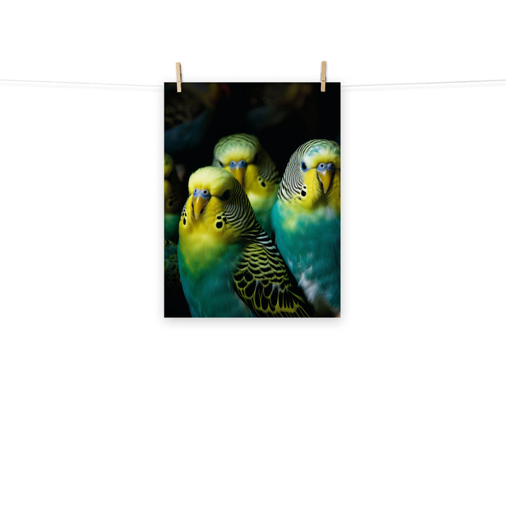 Budgerigar Photo paper poster - PosterfyAI.com