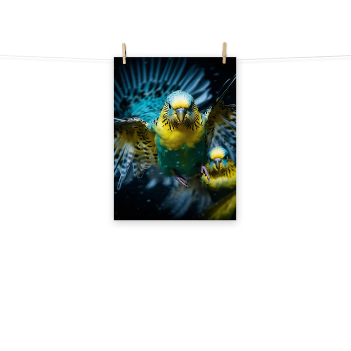 Budgerigar Photo paper poster - PosterfyAI.com