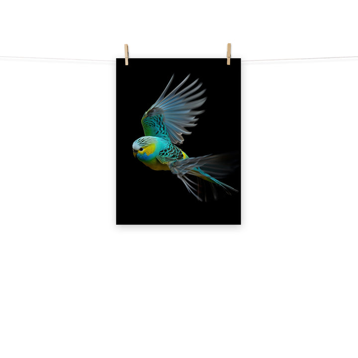Budgerigar Photo paper poster - PosterfyAI.com