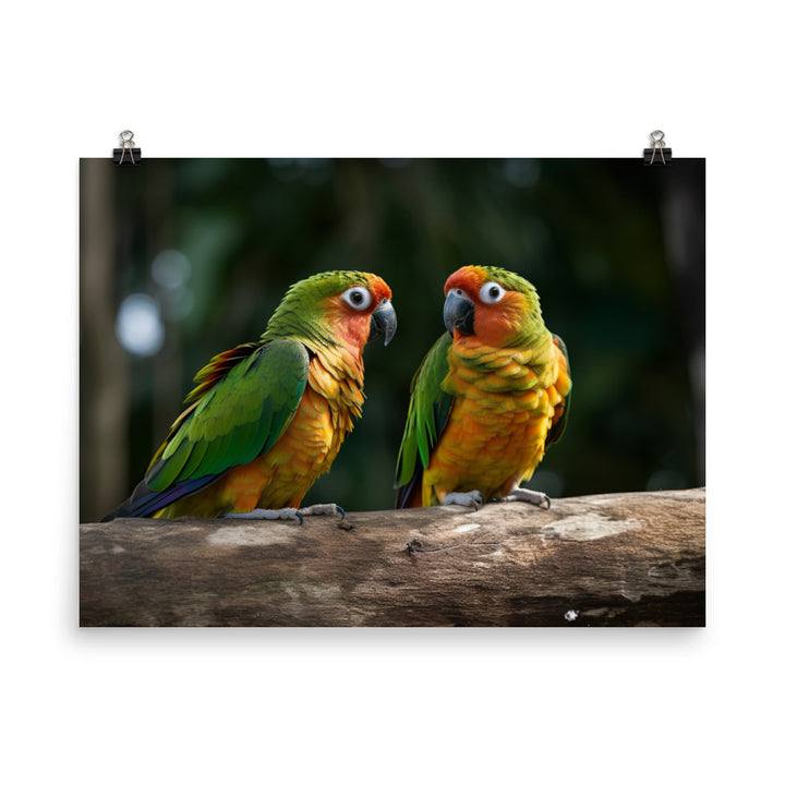 Two Conures perched side by side photo paper poster - Posterfy.AI