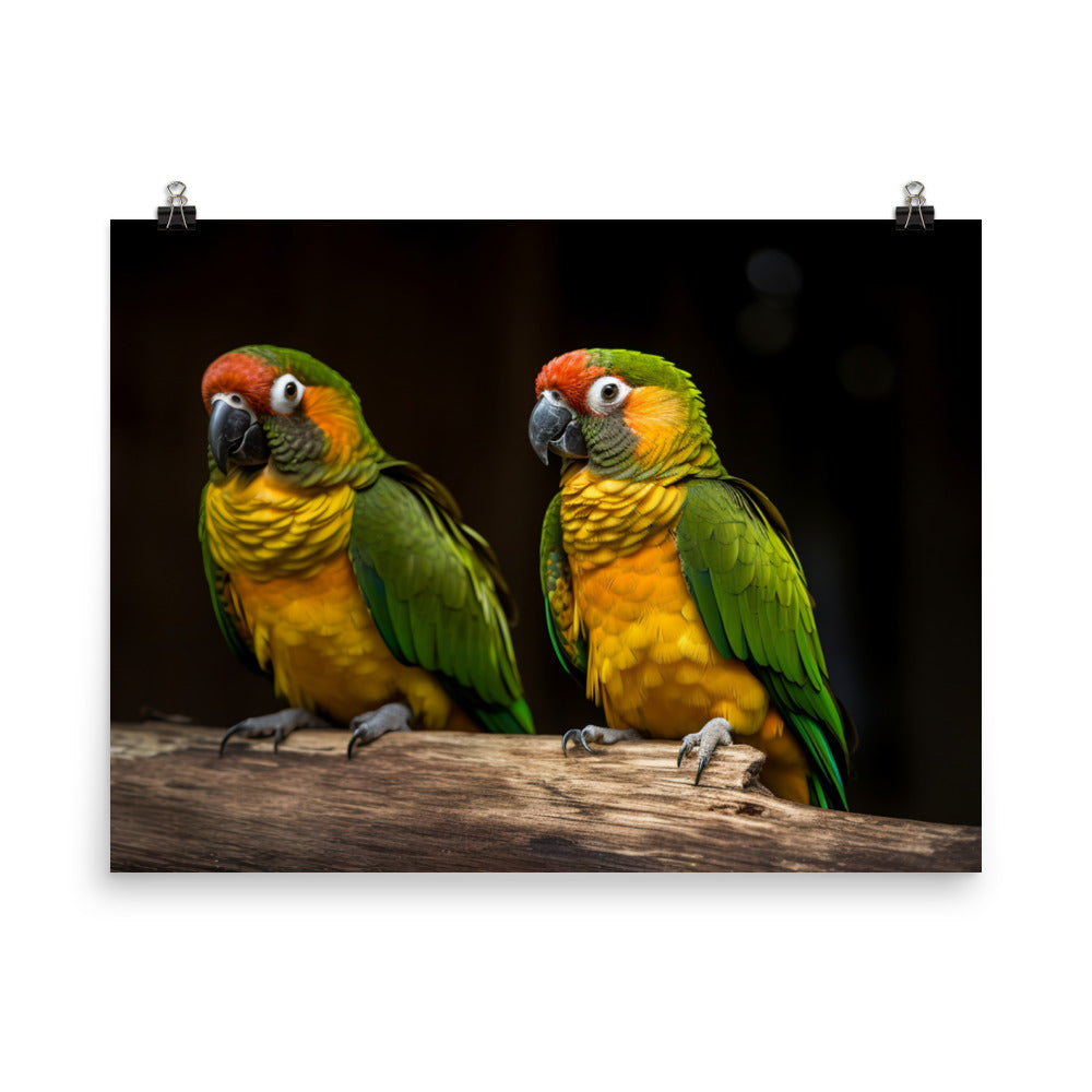 Two Conures perched side by side photo paper poster - Posterfy.AI