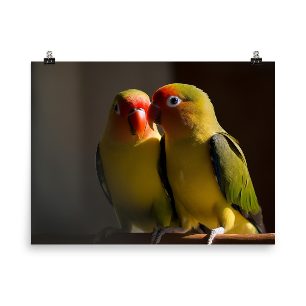 Lovebirds Pair photo paper poster - Posterfy.AI
