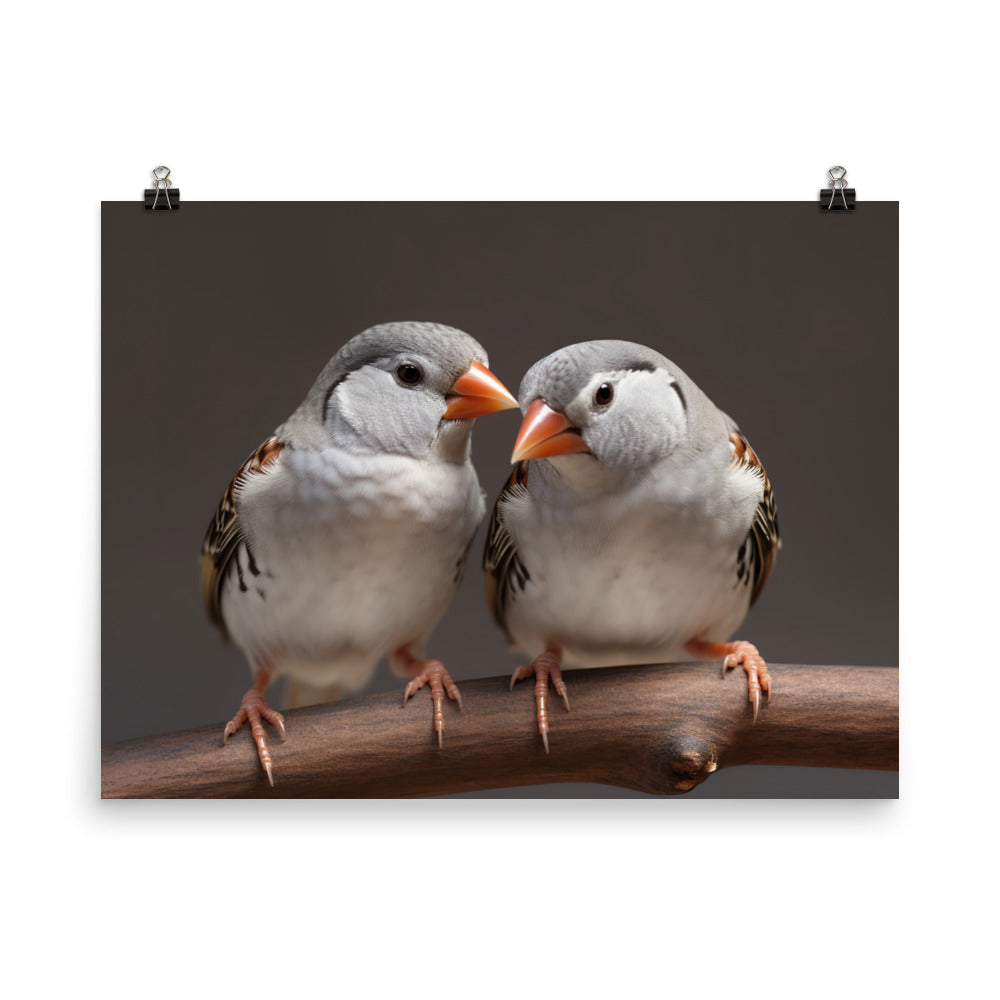 Close-up of Zebra Finches photo paper poster - Posterfy.AI