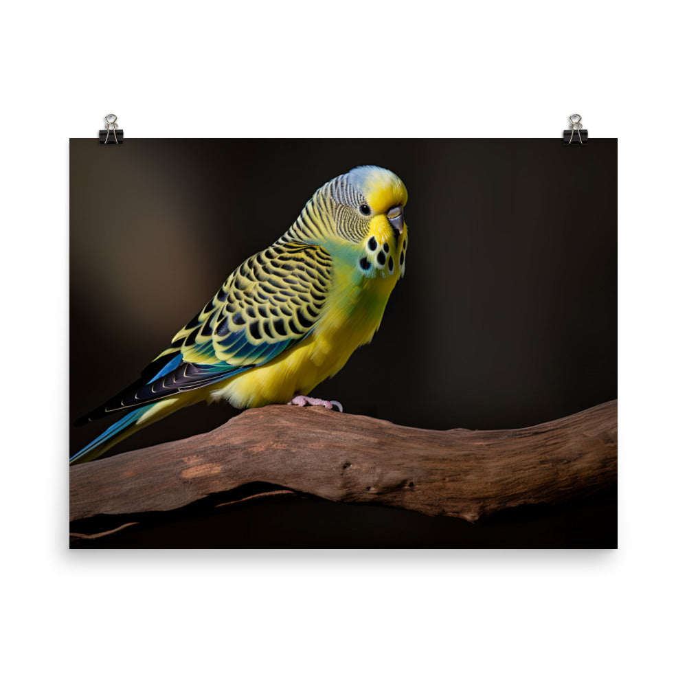 Cheerful Budgie on a Perch photo paper poster - Posterfy.AI