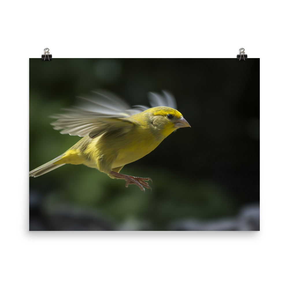 Canary in flight photo paper poster - Posterfy.AI