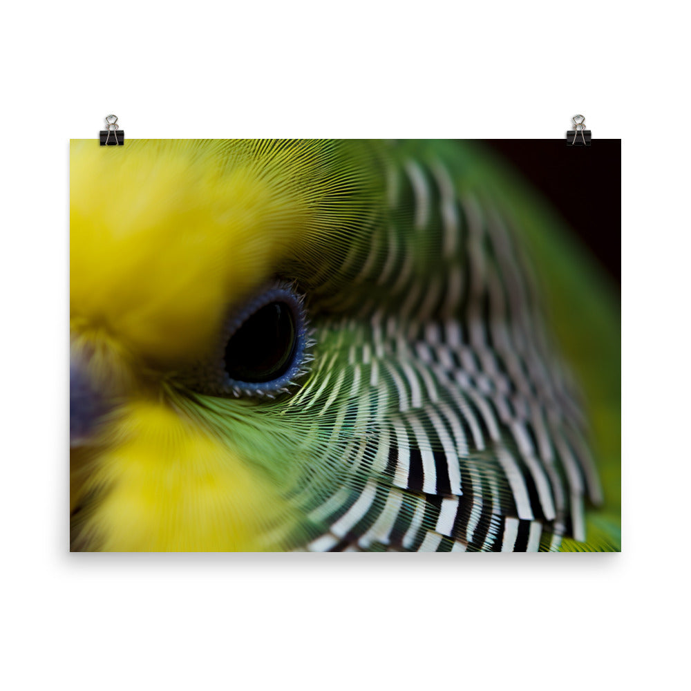 Budgie Close Up photo paper poster - Posterfy.AI