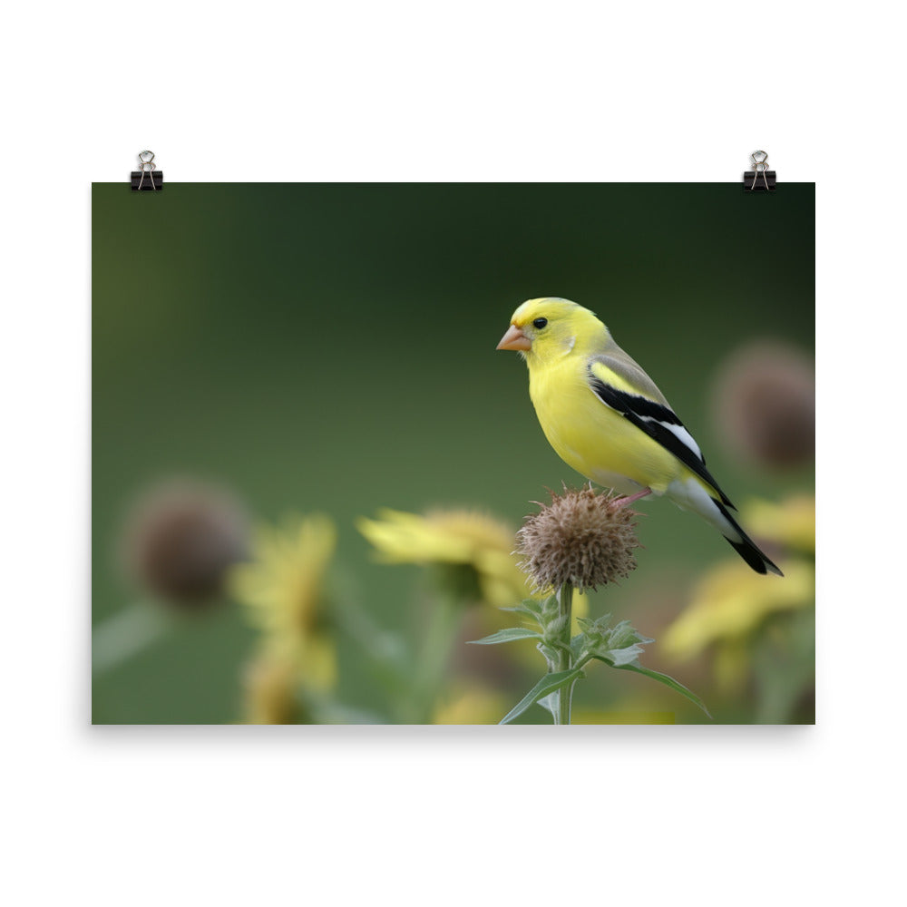 American Goldfinch in the Garden photo paper poster - Posterfy.AI